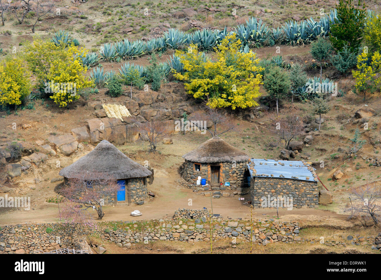Piccole capanne tipiche di insediamenti rurali nel regno del Lesotho, Sud Africa Foto Stock