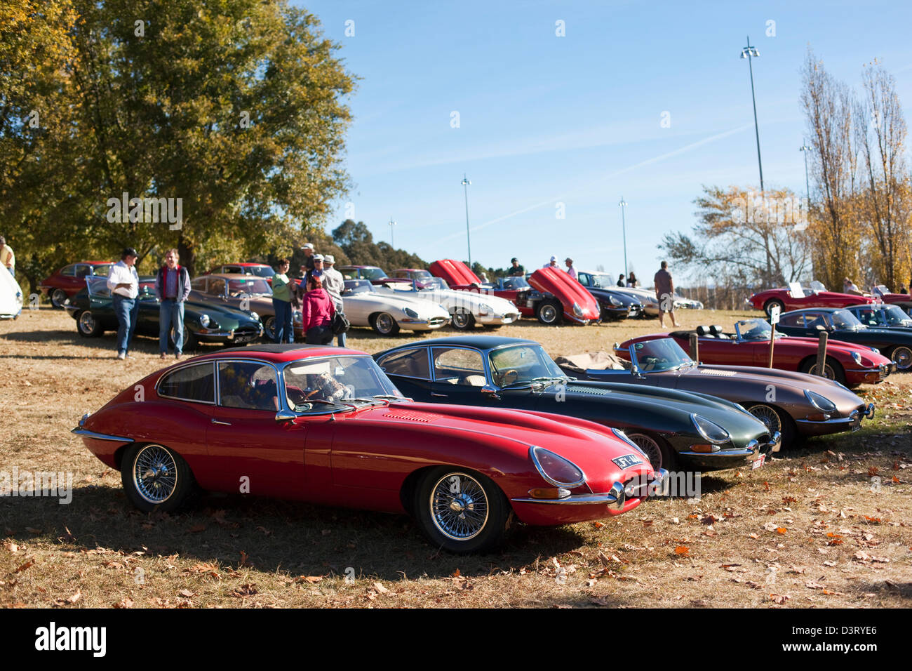 Vintage Jaguar auto da rally a Parkes. Canberra, Australian Capital Territory (ACT), Australia Foto Stock