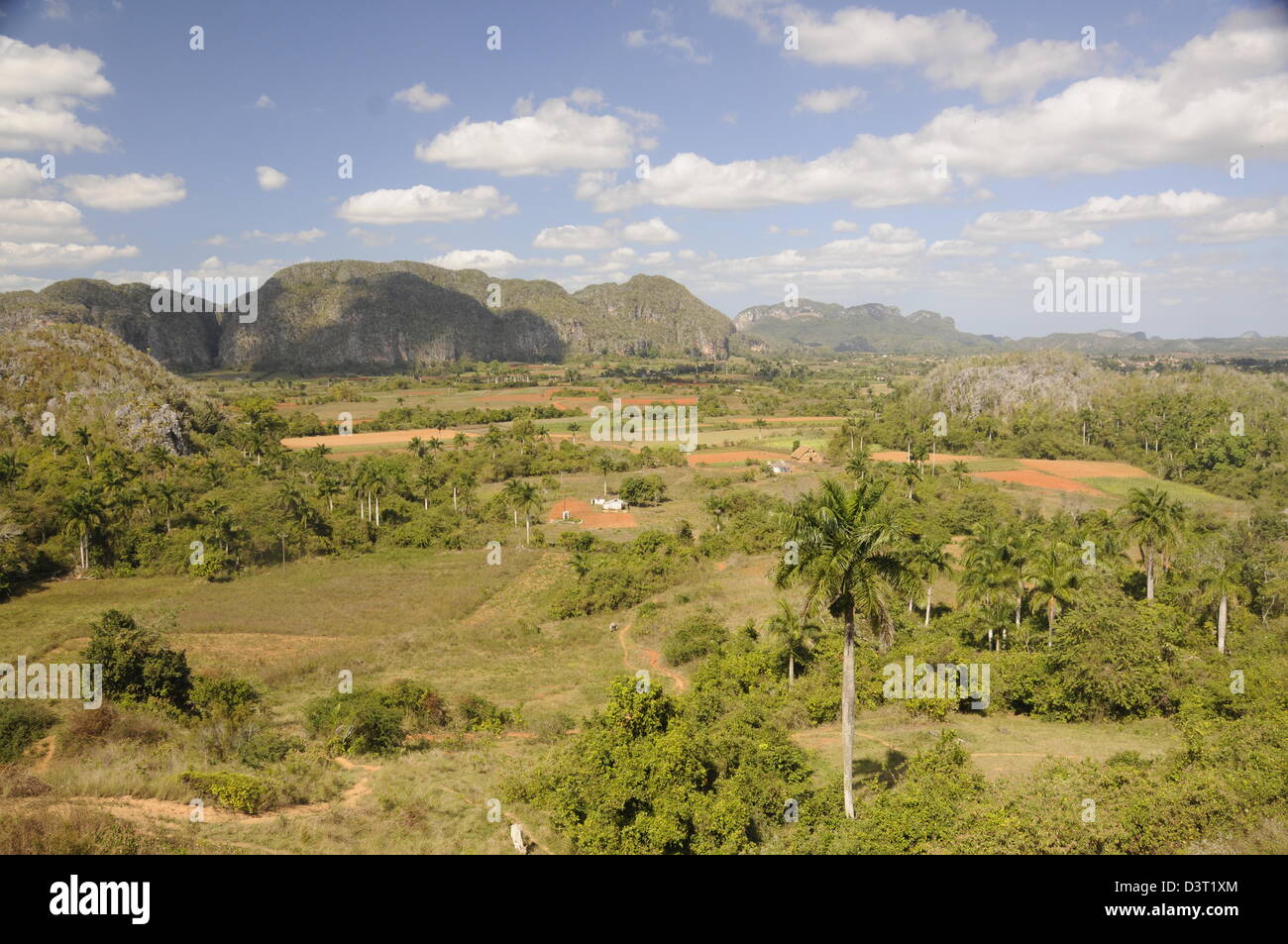 Vista dei campi di tabacco di Viñales Cuba Foto Stock