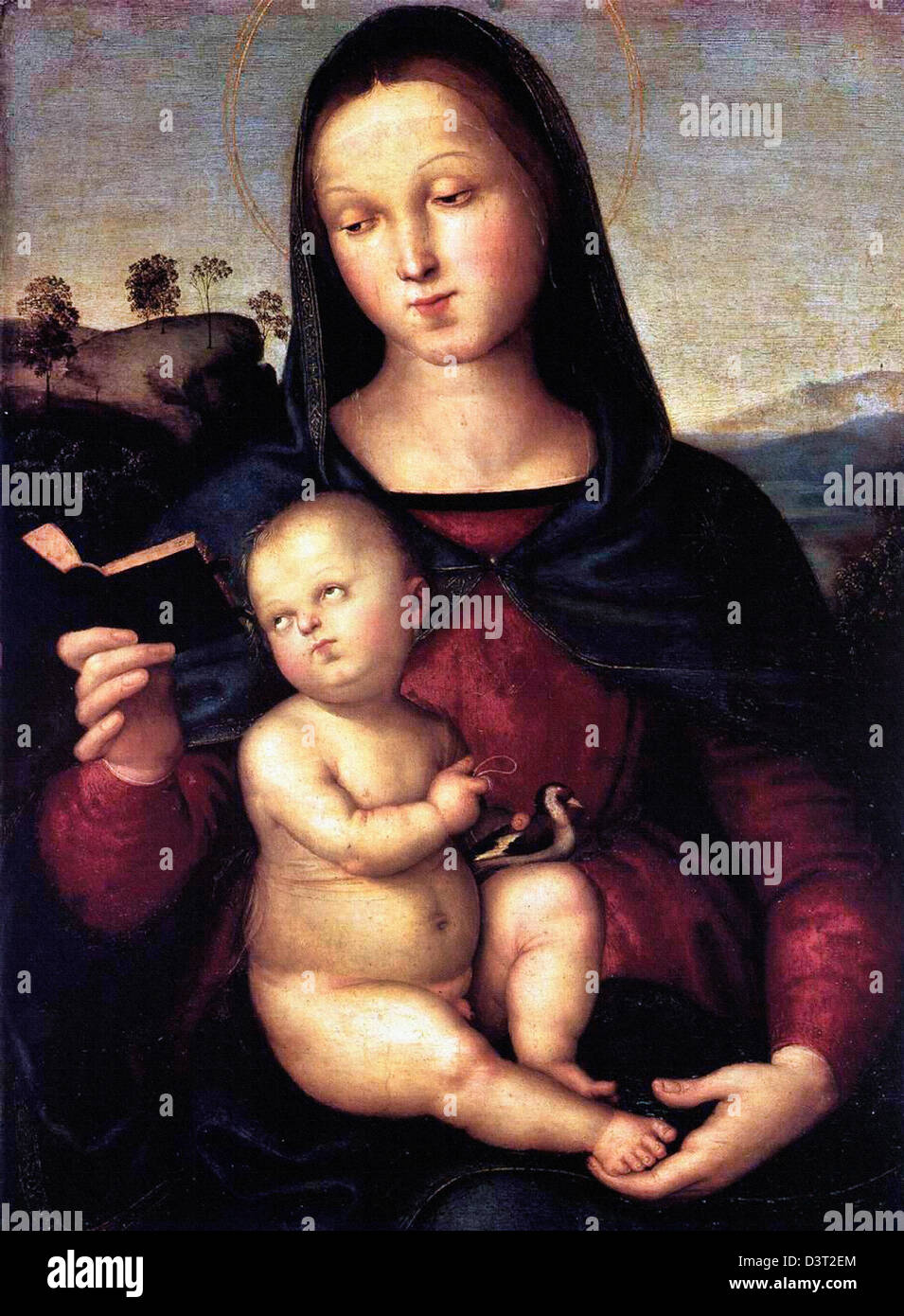 Madonna Solly (Madonna con Bambino) 1500-1504 Olio su tavoletta. Gemäldegalerie, Berlino Foto Stock