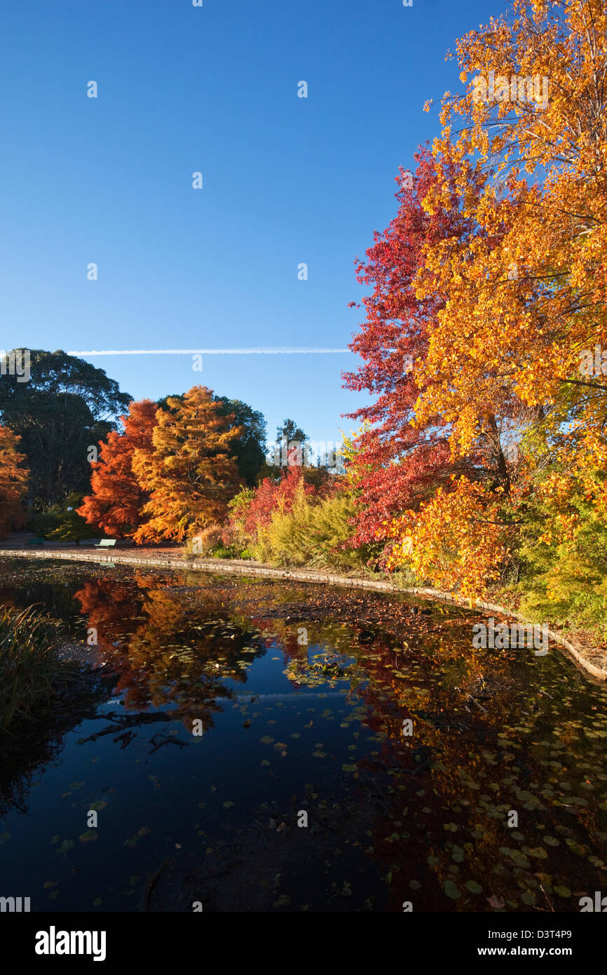 I colori autunnali nel parco. Commonwealth Park, Canberra, Australian Capital Territory (ACT), Australia Foto Stock