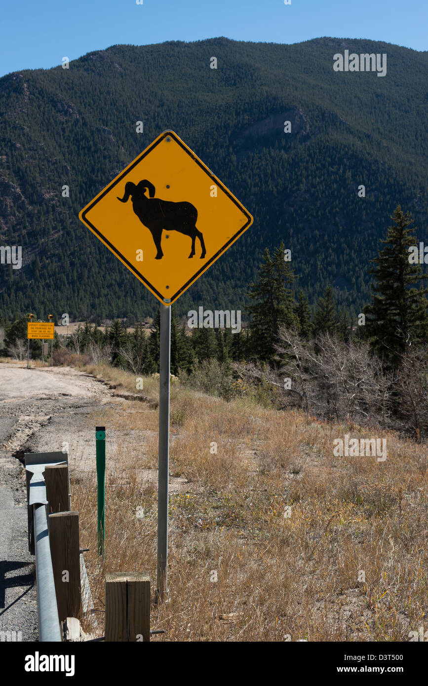 Segno di traffico avvertenza per i bighorn Foto Stock