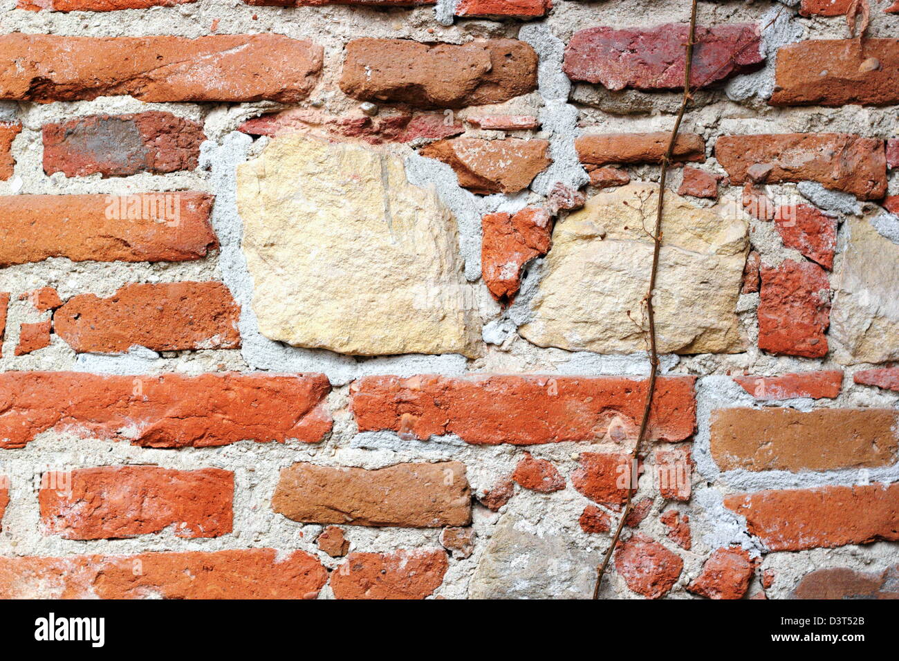 La texture del vecchio muro in mattoni con un ivy arrampicata su di esso Foto Stock