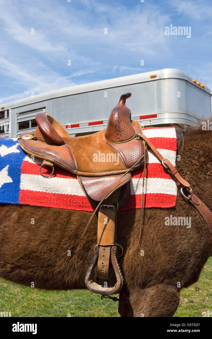 Cavallo sotto la sella western pronto per il cavaliere della bandiera americana sotto coperta e rimorchio dietro. Foto Stock