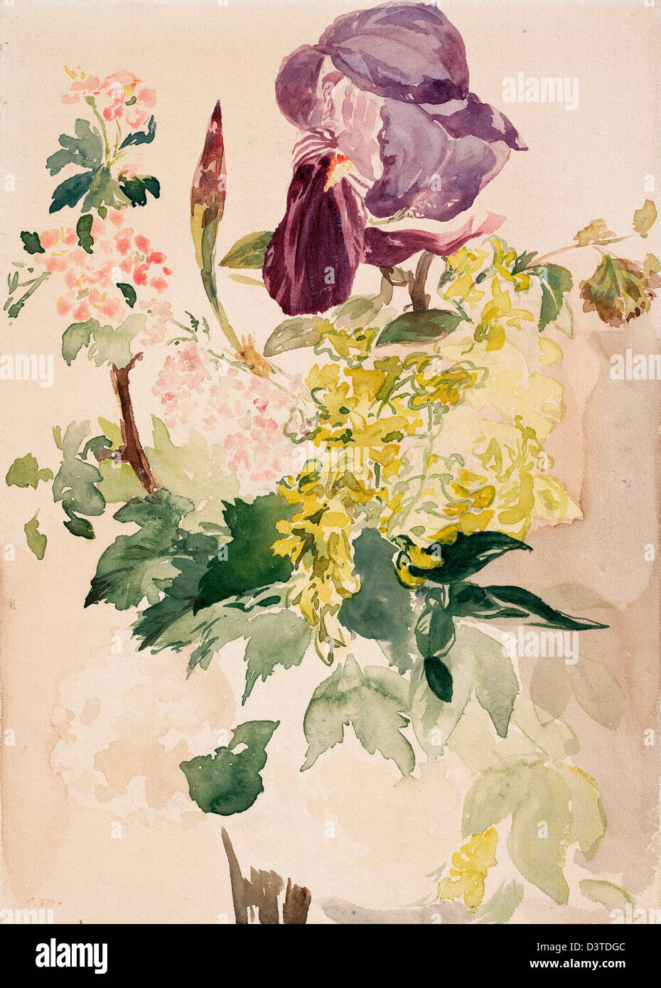 Edouard Manet, fiore pezzo con Iris, maggiociondoli e geranio 1880 acquerello. Albertina di Vienna, Austria Foto Stock