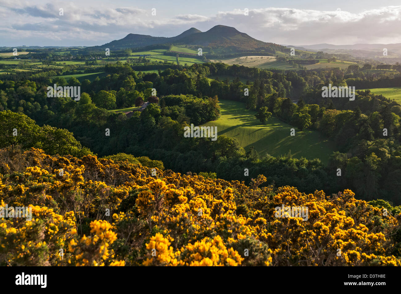 La Scozia, Scottish Borders, Scott è del parere che la visualizzazione preferita di Sir Walter Scott al di sopra del Tweed River Valley Foto Stock