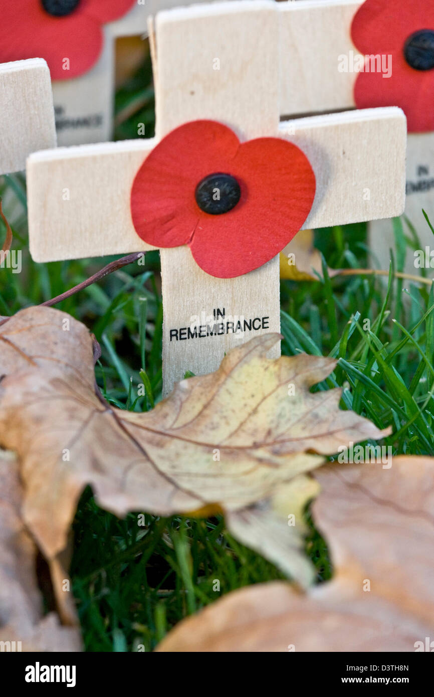 Close-up ricordo armistizio poppy giorno memoriale della croce Foto Stock