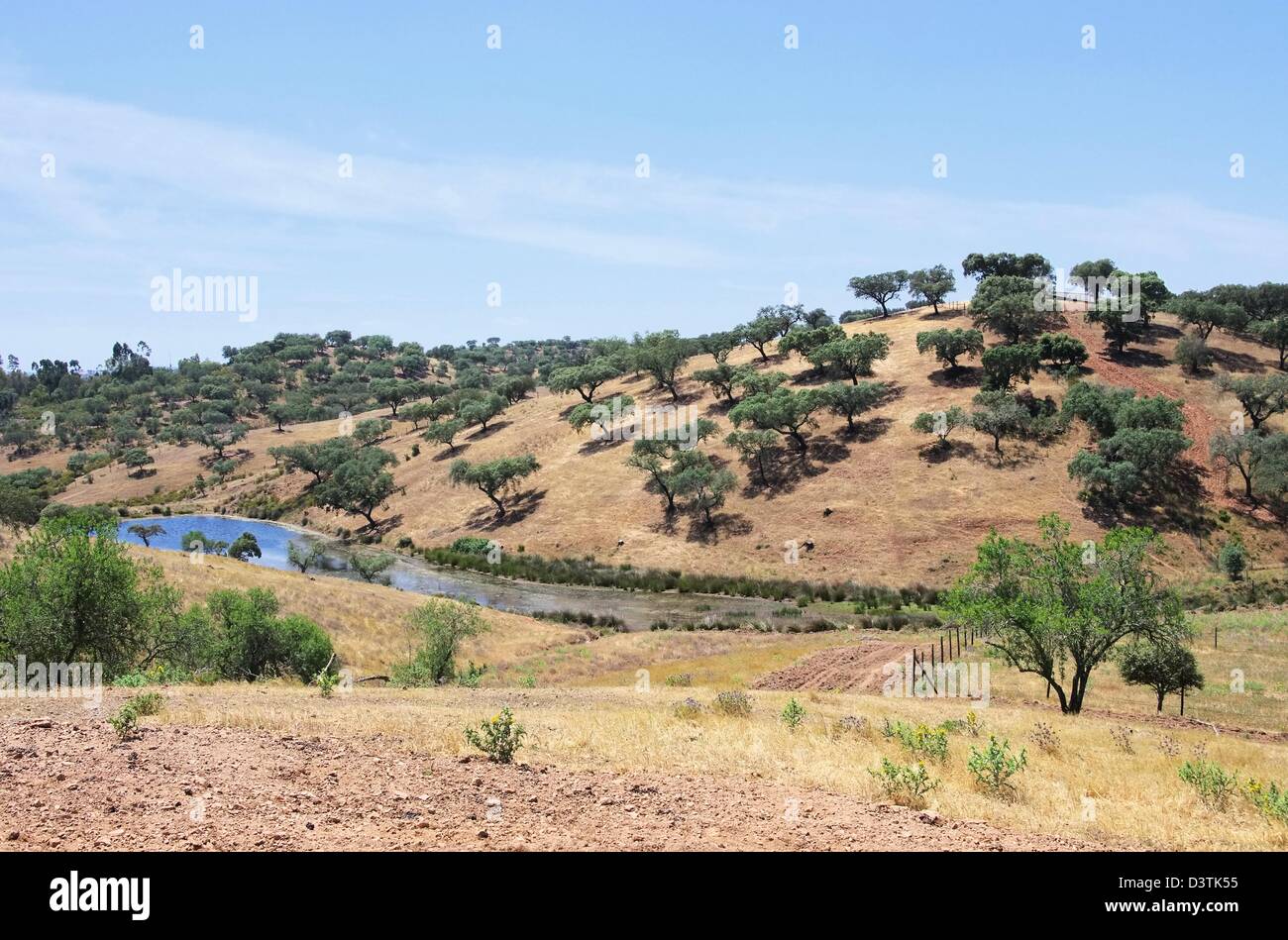Dehesa 42 Foto Stock