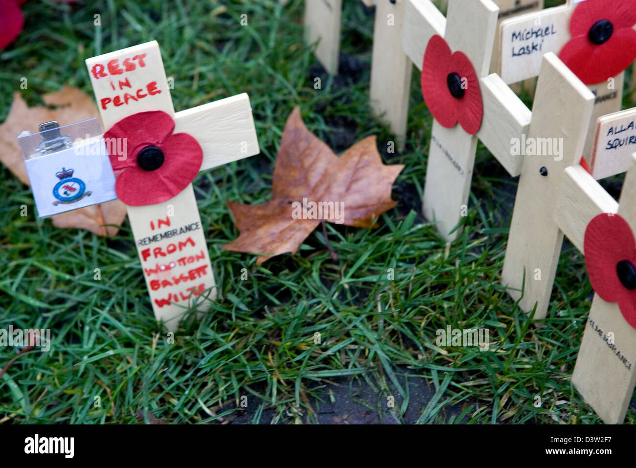 Papavero rosso sul display per commemorare i sacrifici compiuti dai soldati che se e sono morti durante le due guerre mondiali. Foto Stock