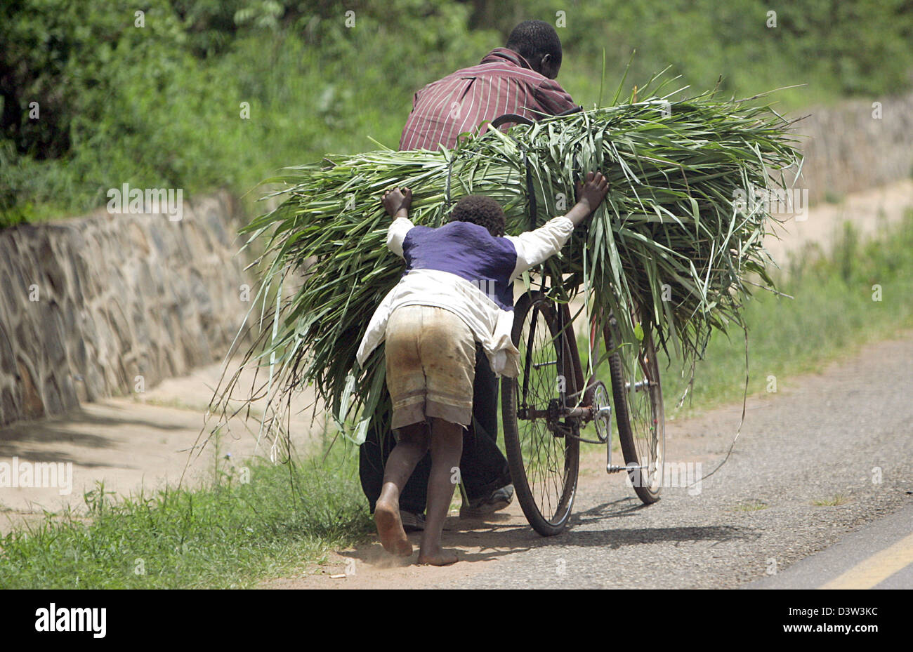 (Dpa) file - un uomo e una donna di trasportare un pesante bundel delle malerbe su una bicicletta nei pressi del villaggio di Njale nella provincia di Mphuka, Malawi, 29 novembre 2006. Foto: Frank può Foto Stock