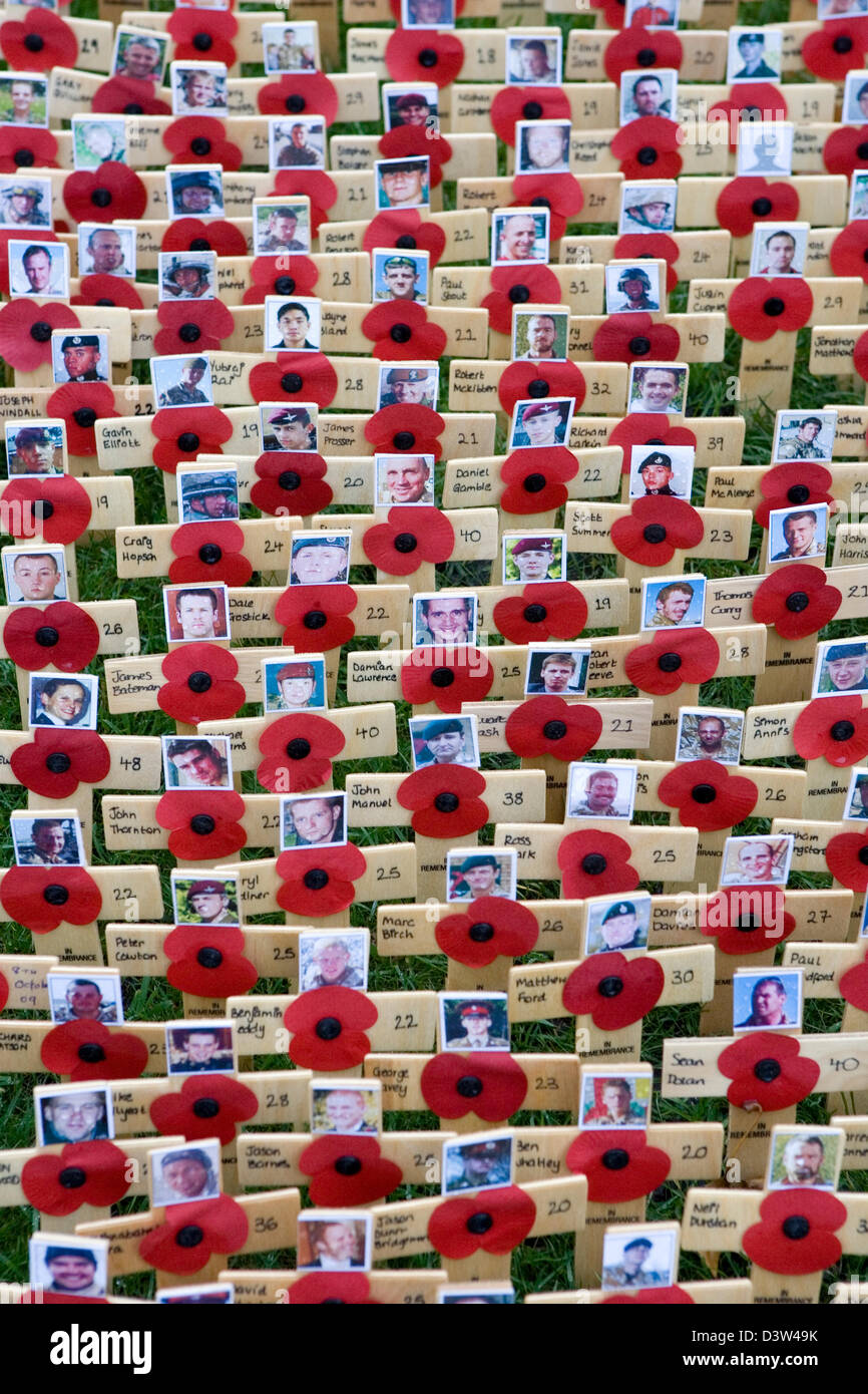 Papavero rosso sul display per commemorare i sacrifici compiuti dai soldati che se e sono morti durante le due guerre mondiali. Foto Stock