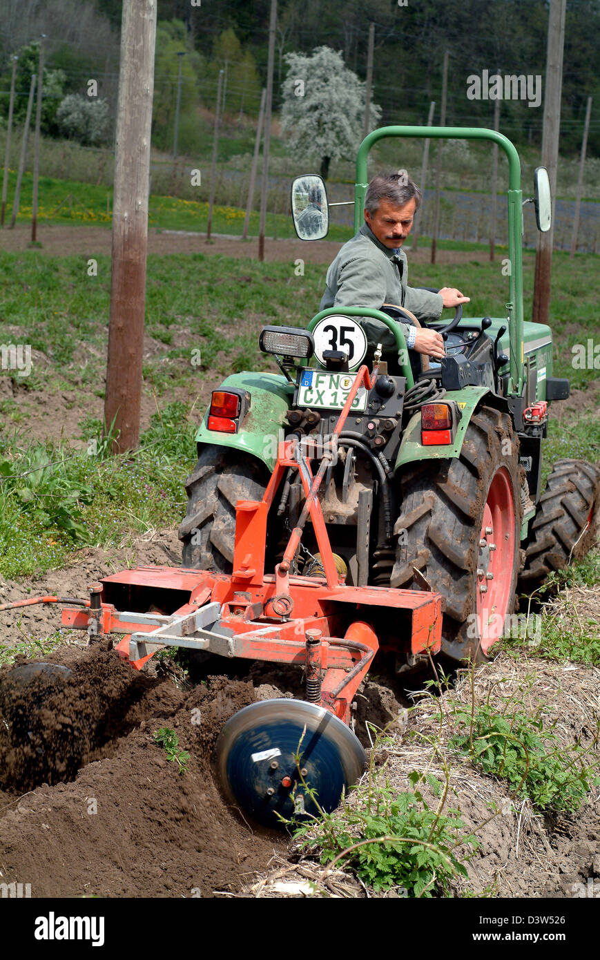 Hop contadino Peter Bentele utilizza il suo trattore per preparare il campo per la coltivazione del luppolo in Wellmutsweiler, Germania, 24 aprile 2004. Bentele cresce hop secondo direttive Demeter. L'interesse di ingredienti naturali è in aumento tra le fabbriche di birra. Foto: Rolf Schultes Foto Stock