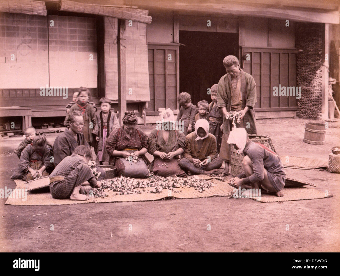 La raccolta del cotone - diverse persone di tutte le età seduti sulle stuoie in un cortile che separa il cotone dalla pianta, circa 1890 Foto Stock