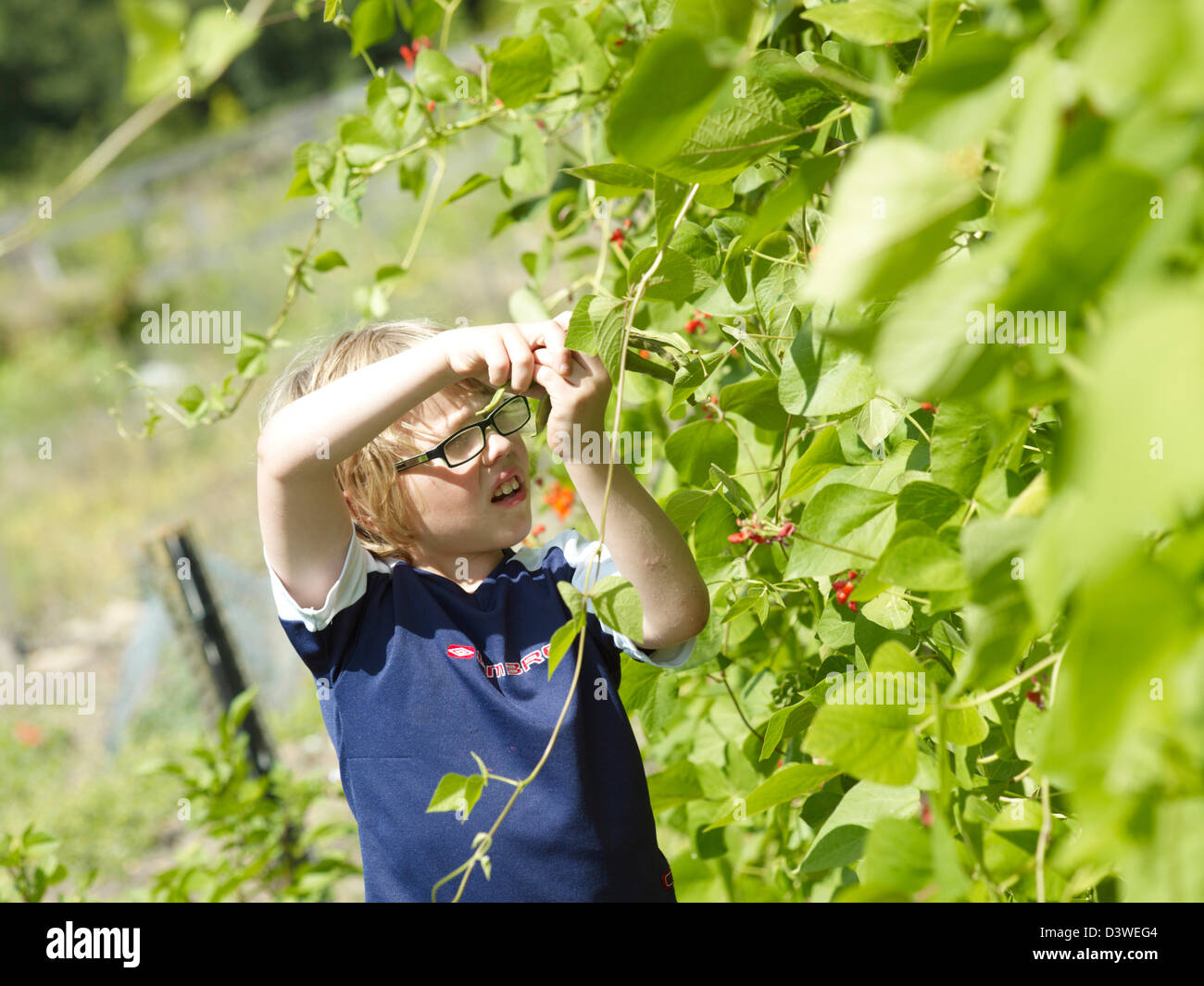 I bambini al riparto Foto Stock