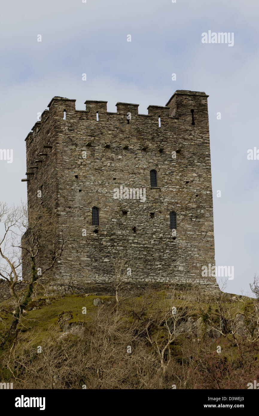 Il castello di Dolwyddelan, un castello del XIII secolo della Welsh Princes e il luogo di nascita di Llywelyn Fawr Llywelyn - Grande Foto Stock