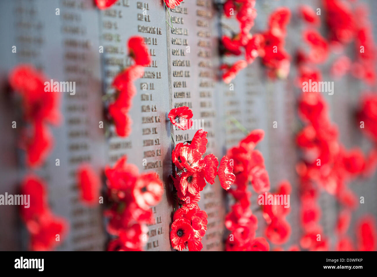 Il papavero che ornano il Rotolo di onore pareti in Australian War Memorial. Canberra, Australian Capital Territory, Australia Foto Stock