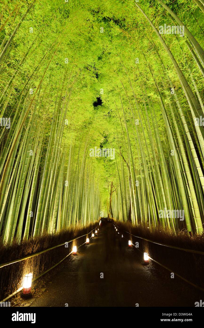 Il bosco di bambù di Kyoto, Giappone. Foto Stock