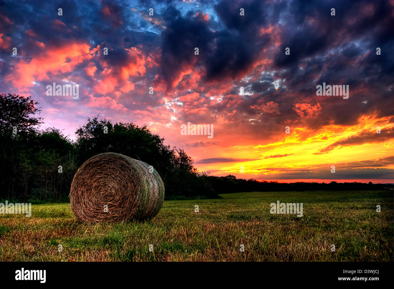 Un bellissimo tramonto su una fattoria rurale campo Foto Stock