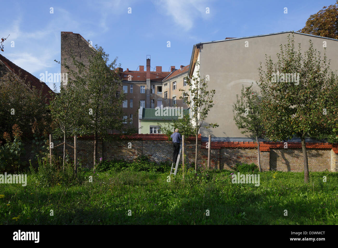 Berlino, Germania, frutteto del giardino Comenius in Berlin-Neukoelln Foto Stock