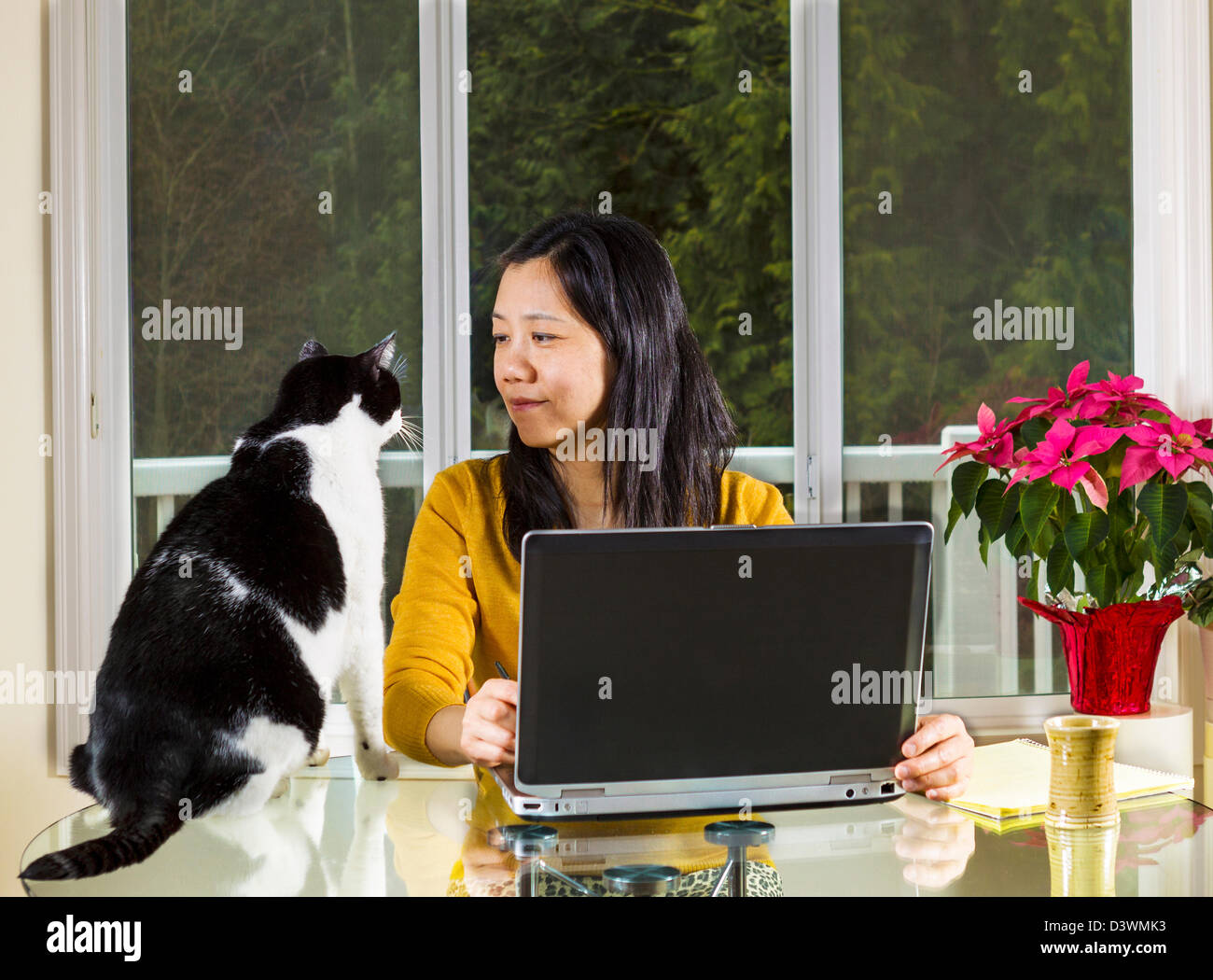 Coppia donna asiatica di lavoro a casa con la sua famiglia pet guardando lei Foto Stock
