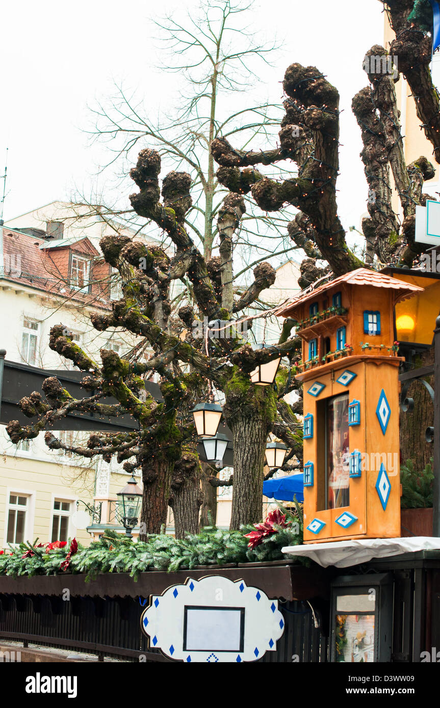 Cafe, lampada tetto, shop, tabella, acciaio, verde, bianco, bere, Baden, street, caffè, cena, finestra, sala da pranzo, fiori, cultura, Foto Stock