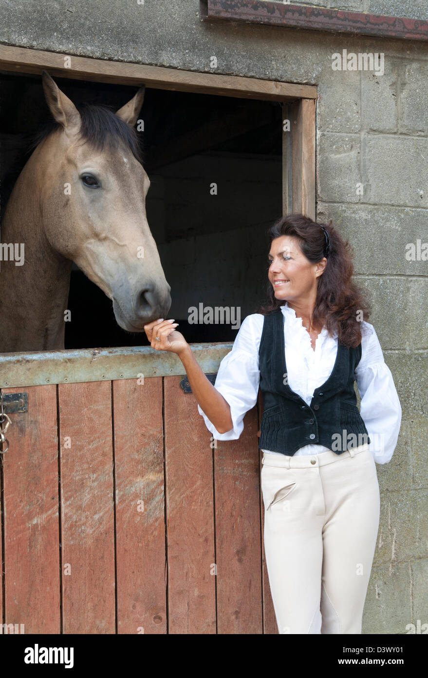 Una donna matura in marcia di equitazione felicemente animali domestici un cavallo in un Cotswold stabile Foto Stock