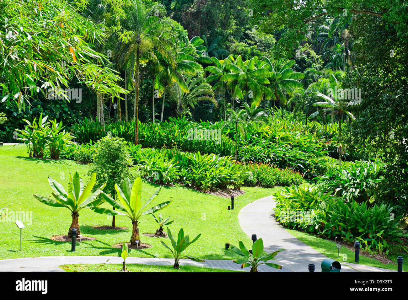Singapore Giardino Botanico1 grado Nth dell'equatore ha 10.000 specie di piante e i mondi più grande collezione di orchidee Foto Stock