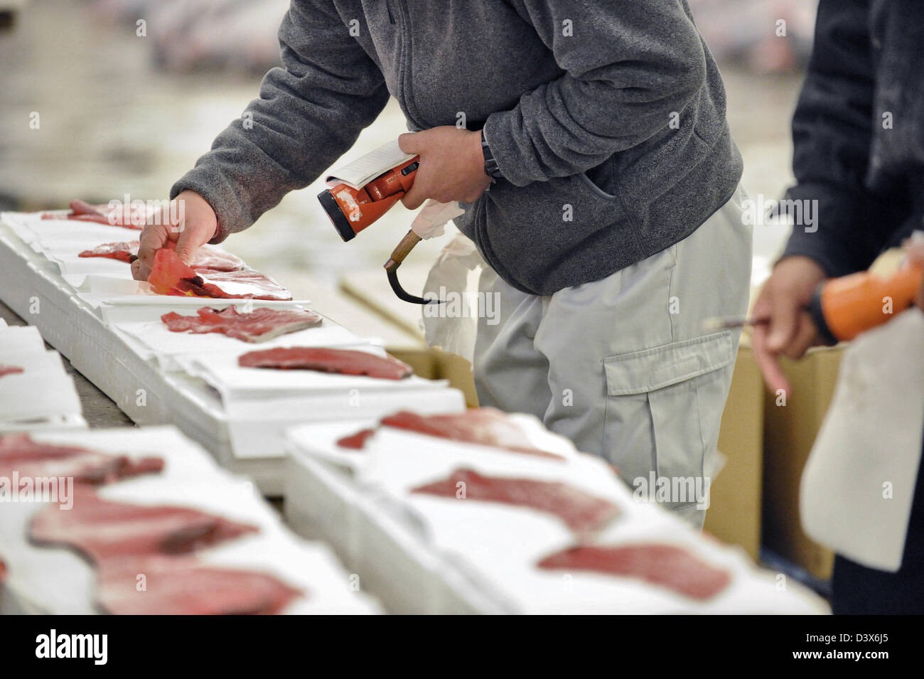 (FILE) Novembre 10, 2012, Tokyo, Giappone - il vivace mercato Tsukiji, ufficialmente chiamato Tokyo Metropolitan centrale mercato all'ingrosso, è il più grande commercio all'ingrosso di pesce e frutti di mare mercato nel mondo. Sebbene il più noto per i suoi piatti di pesce, il mercato vende anche frutta e verdura, carni bovine e di pollame. Gestisce più di 400 diversi tipi di piatti a base di frutti di mare e impiega più di 60.000 persone. Insieme ad altri due Tokyo mercati all'ingrosso del mercato Tsukiji gestisce un incredibile 675mila tonnellate di prodotti marini di un anno. Il primo mercato del pesce di Tokyo è stato istituito nei pressi del ponte di Nihonbashi, punto di partenza di Foto Stock