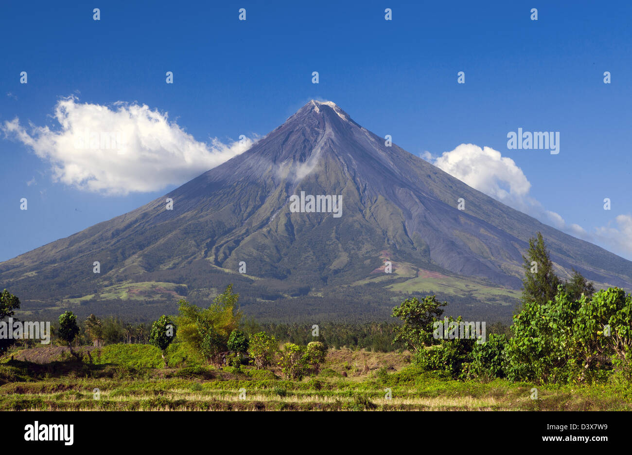 Il monte Vulcano Mayon in Albay, Bicol, isola di Luzon, Filippine Foto Stock