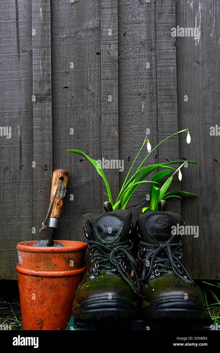 Galanthus nivalis bucaneve crescente crescere nel vecchio paio scarpe da trekking insolito vaso contenitore di riciclaggio riciclare recuperare il giardinaggio Foto Stock