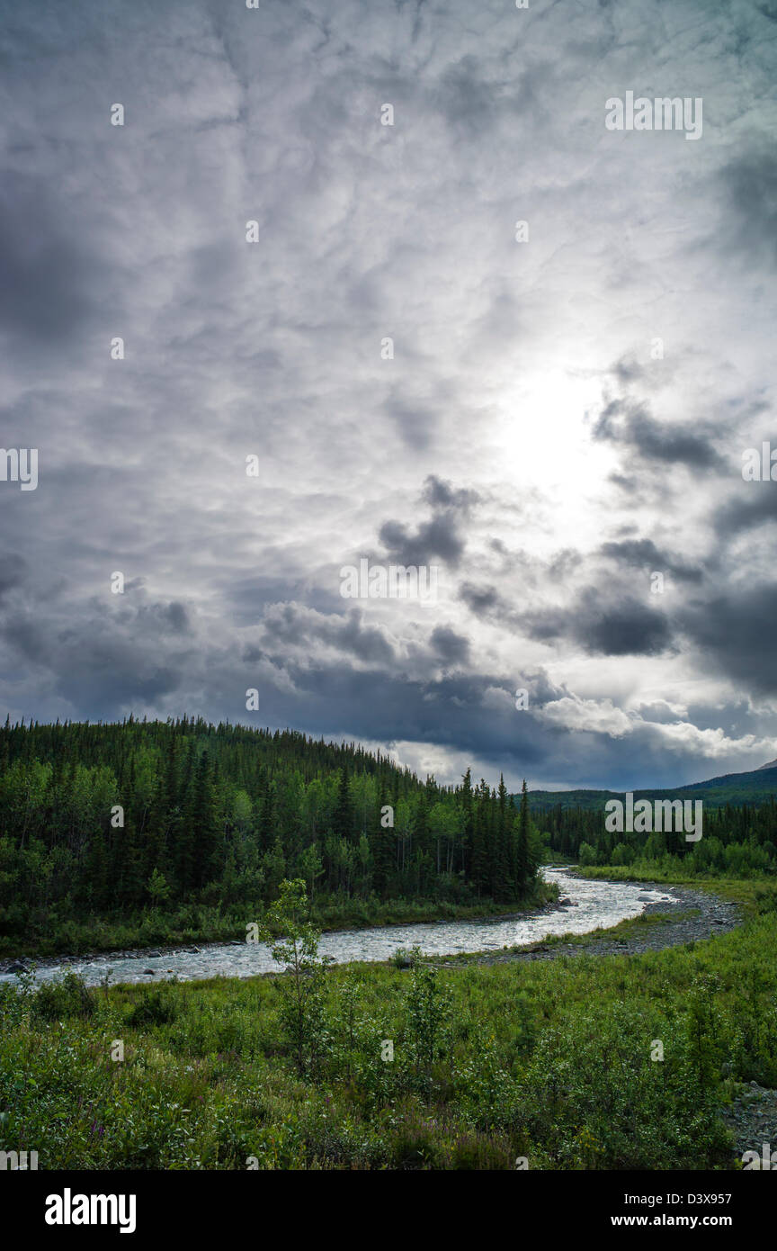 Riley Creek e drammatico cielo tempestoso, Parco Nazionale di Denali, Alaska, STATI UNITI D'AMERICA Foto Stock