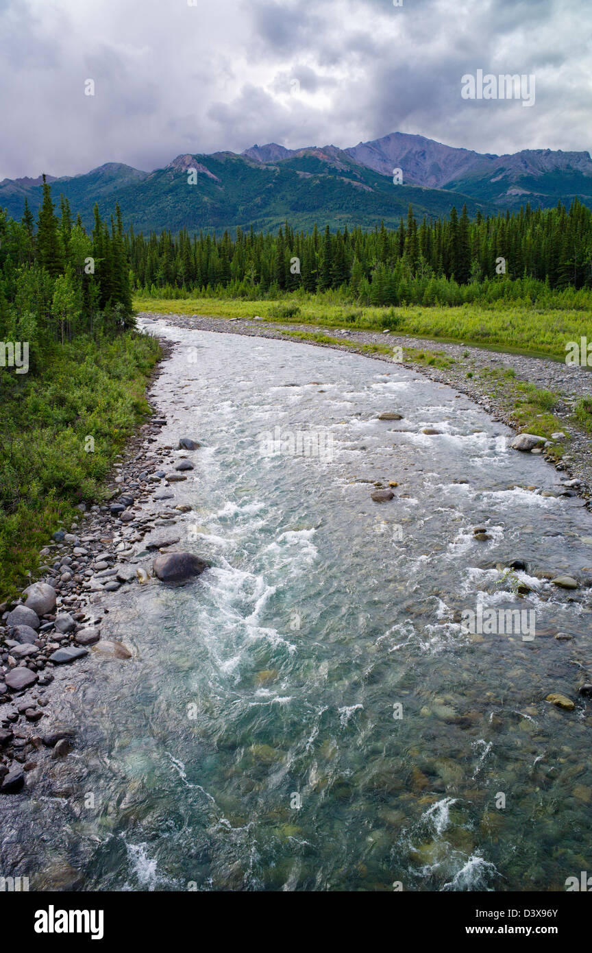 Riley Creek, Parco Nazionale di Denali, Alaska, STATI UNITI D'AMERICA Foto Stock