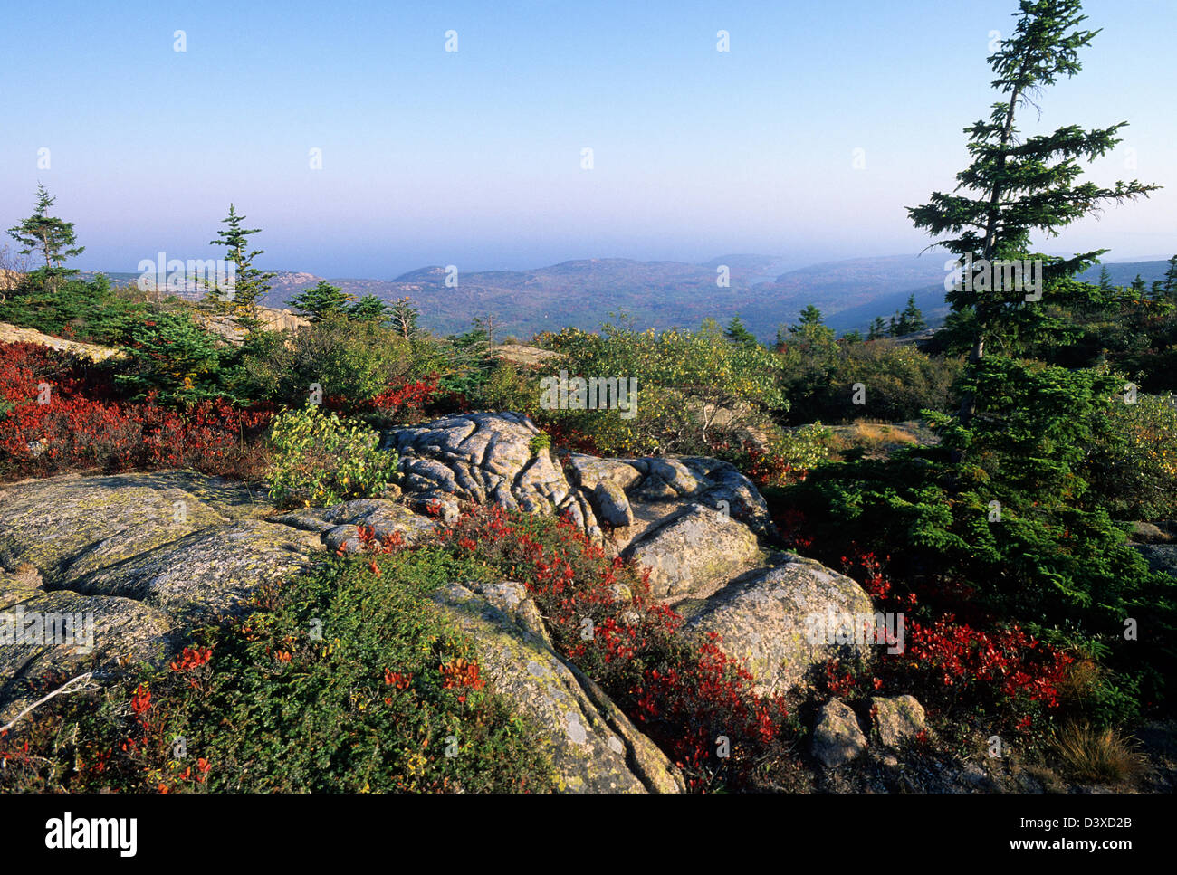 Elk282-2392 Maine, Parco Nazionale di Acadia, Cadillac Mt, paesaggio del vertice Foto Stock