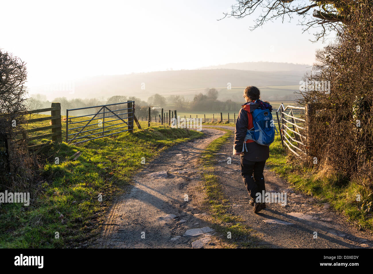 Donna walker su fattoria via sentiero, Trefecca, Parco Nazionale di Brecon Beacons, Powys, Wales, Regno Unito Foto Stock