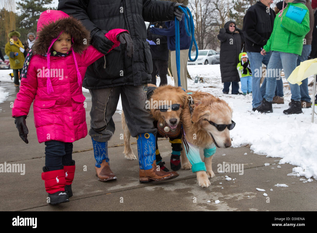 Un uomo e sua figlia a piedi i loro cani in una 'Doggie sfilata di moda" durante un festival invernale di Detroit di Palmer Park. Foto Stock