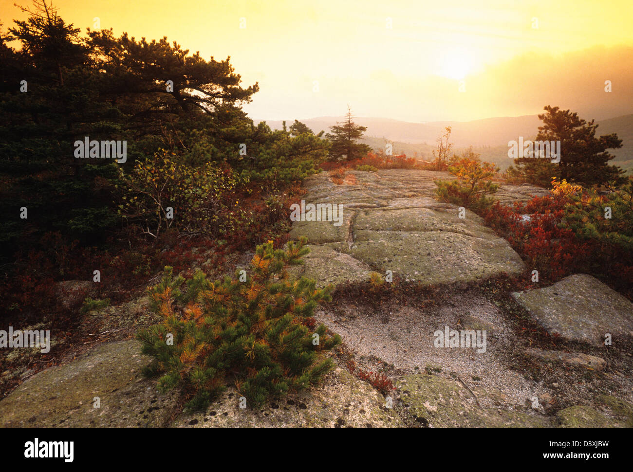 Elk282-2316 Maine, Parco Nazionale di Acadia, Cadillac Mt, sunrise su summit Foto Stock
