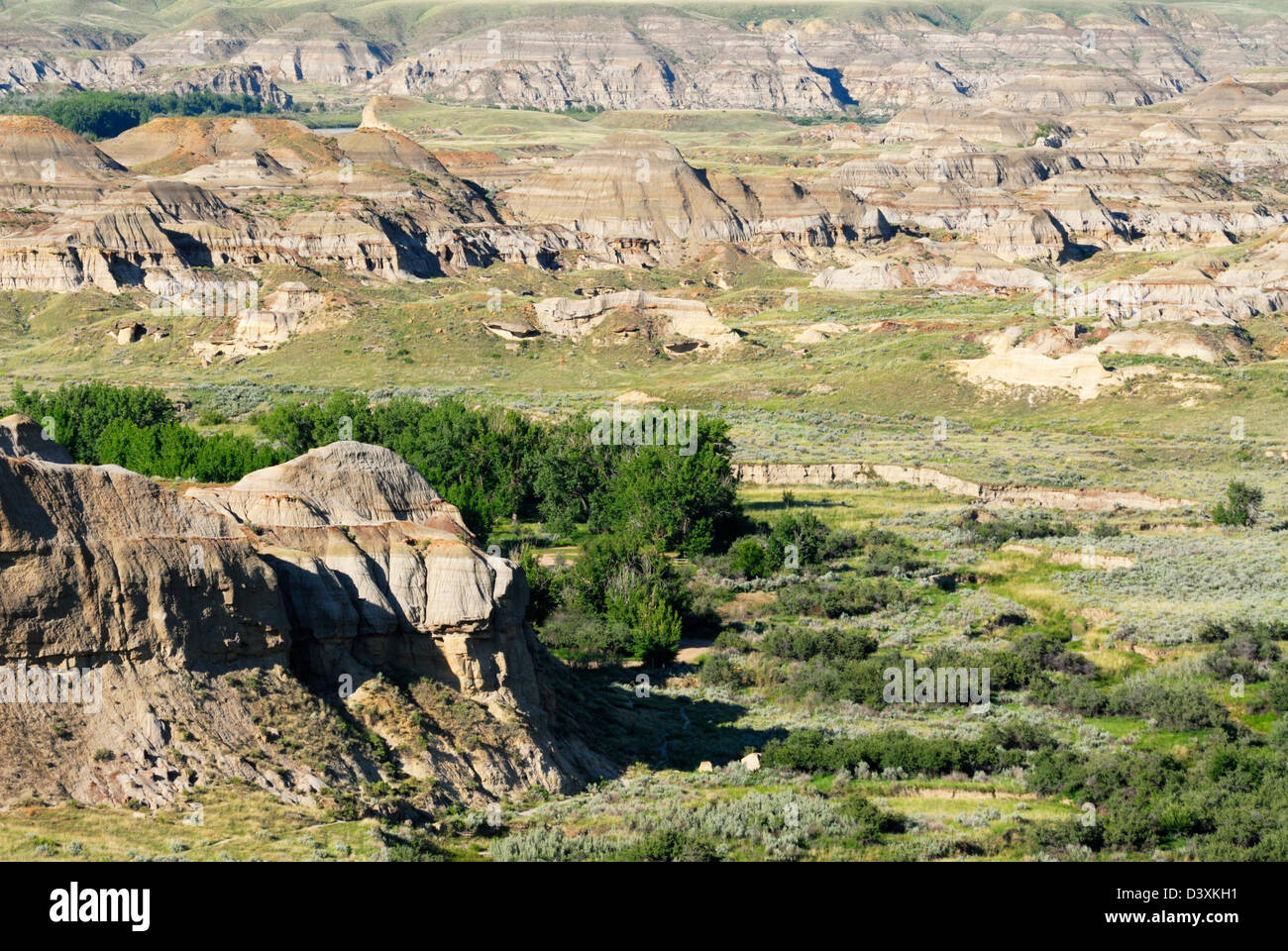 I pittoreschi badlands del „Dinosaur Provincial Park", patrimonio dell'umanità dell'UNESCO e sito di scavi di fossili di dinosauri di fama mondiale, Alberta, Canada Foto Stock