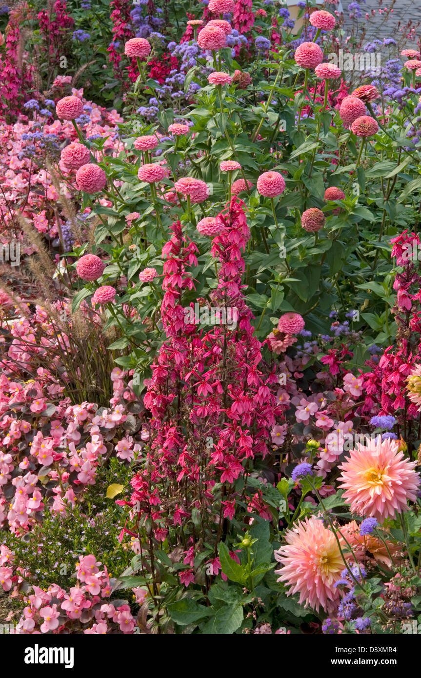 One-Color confine. Rosso e rosa con tema il Lobelia, begonie e Zinnias Foto Stock