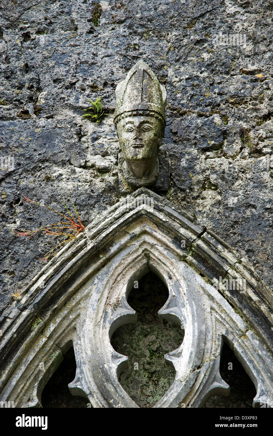 Scultura in pietra di un Vescovo Capo della fine del XII secolo Kilfenora Cathedral, Burren, Co Clare, Irlanda Foto Stock