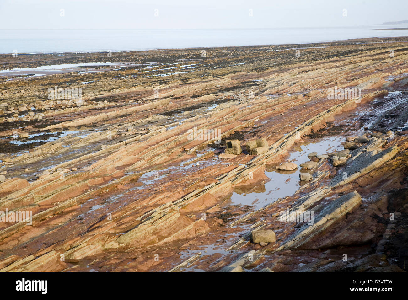 Onda rocciosa della piattaforma di taglio esposti a bassa marea, Watchet, Somerset, Inghilterra Foto Stock