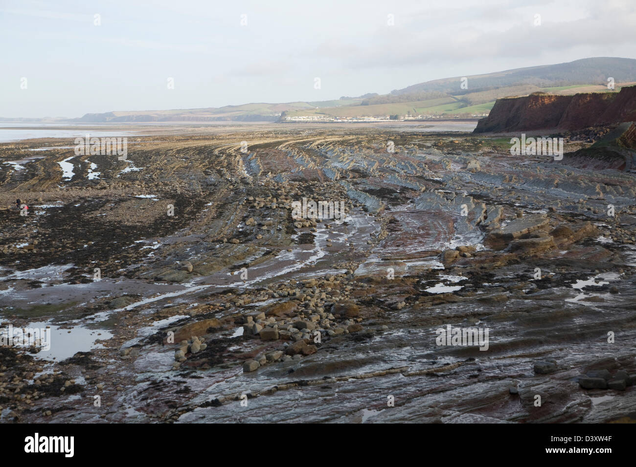 Onda rocciosa della piattaforma di taglio esposti a bassa marea, Watchet, Somerset, Inghilterra Foto Stock
