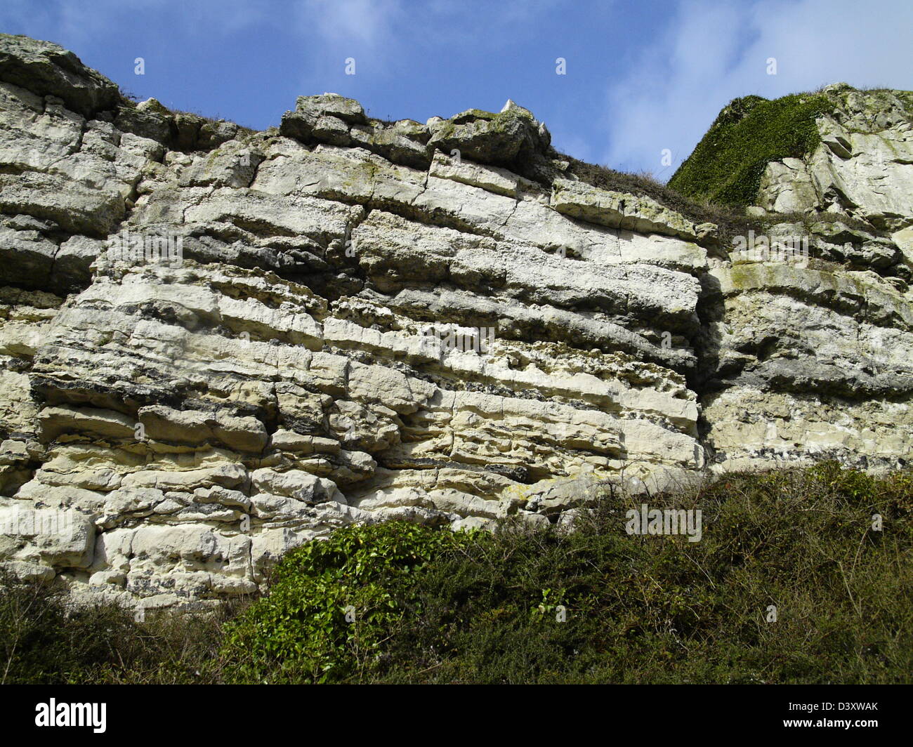 Roccia di pietra di Portland Foto Stock