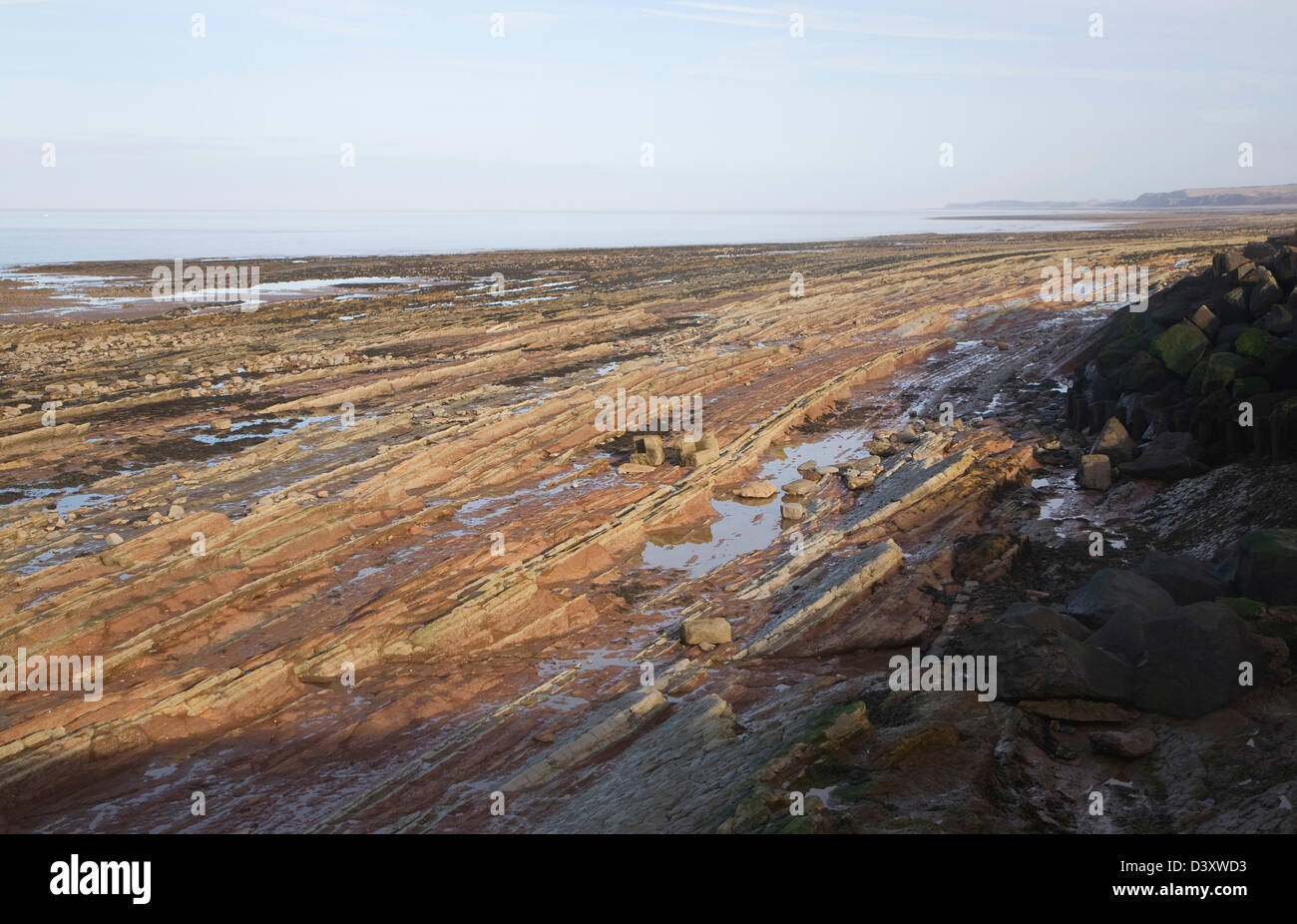 Onda rocciosa della piattaforma di taglio esposti a bassa marea, Watchet, Somerset, Inghilterra Foto Stock
