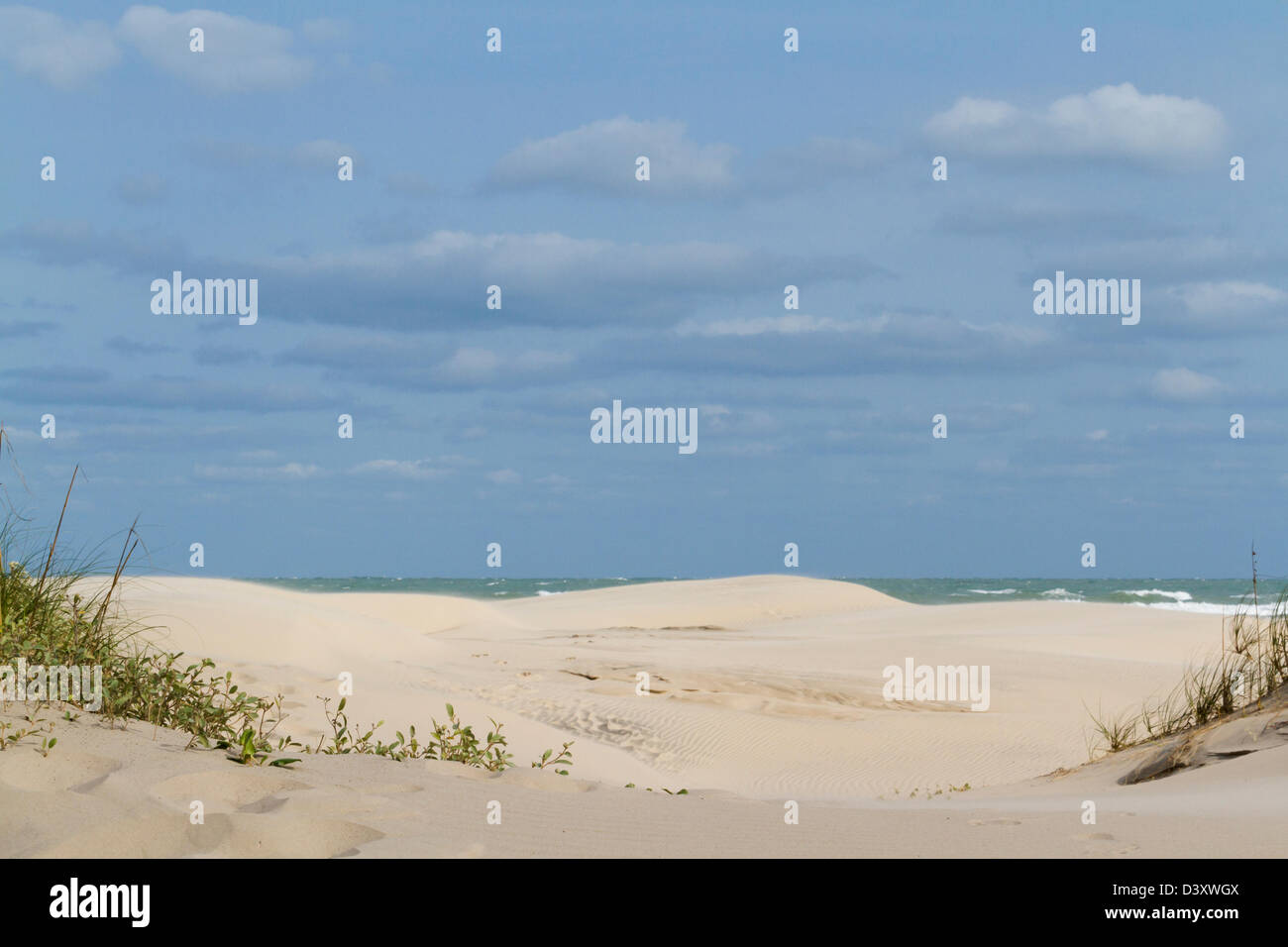 Dune costiere di South Padre Island, TX. Foto Stock