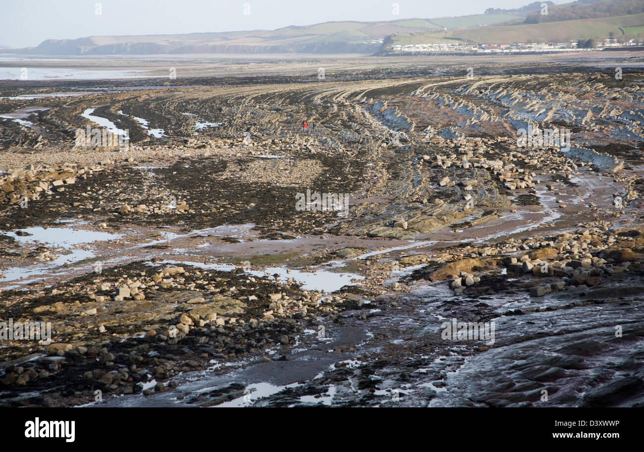 Onda rocciosa della piattaforma di taglio esposti a bassa marea, Watchet, Somerset, Inghilterra Foto Stock