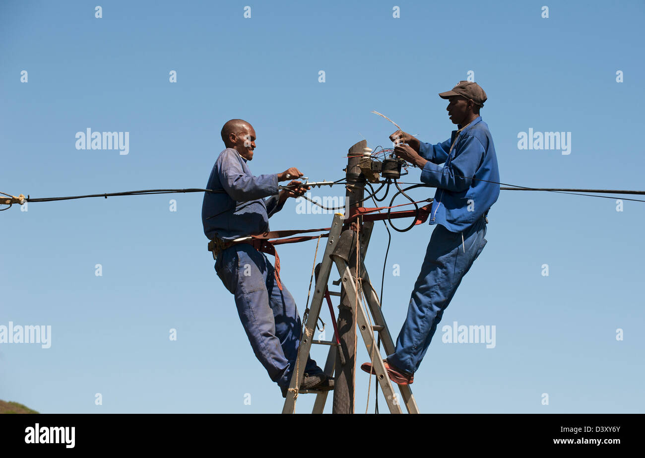 Telkom telefono aziendale gli ingegneri che lavorano su un palo del telegrafo. Sud Africa Foto Stock
