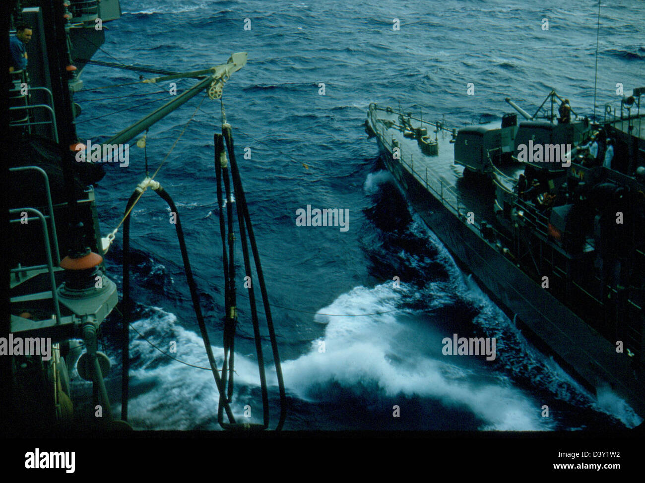 Questa immagine cattura un Monarch caterpillar a New York, mostrando il ciclo di vita naturale della specie. I caterpillari monarchici sono noti per le loro striature nere, bianche e gialle e sono una parte essenziale dell'ecosistema in Nord America, in particolare durante la stagione delle migrazioni. Foto Stock