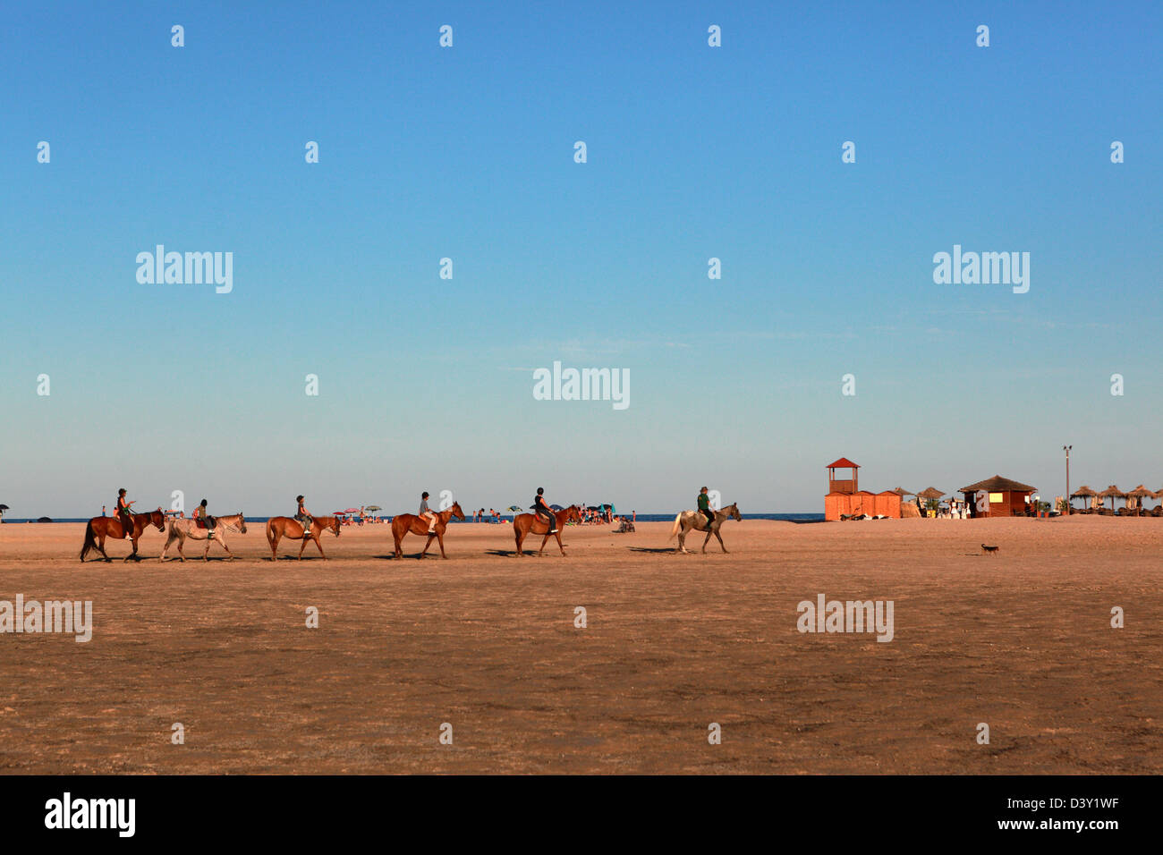 Santa Margherita di Pula, Italia, cavalcate a cavallo sulla spiaggia Foto Stock