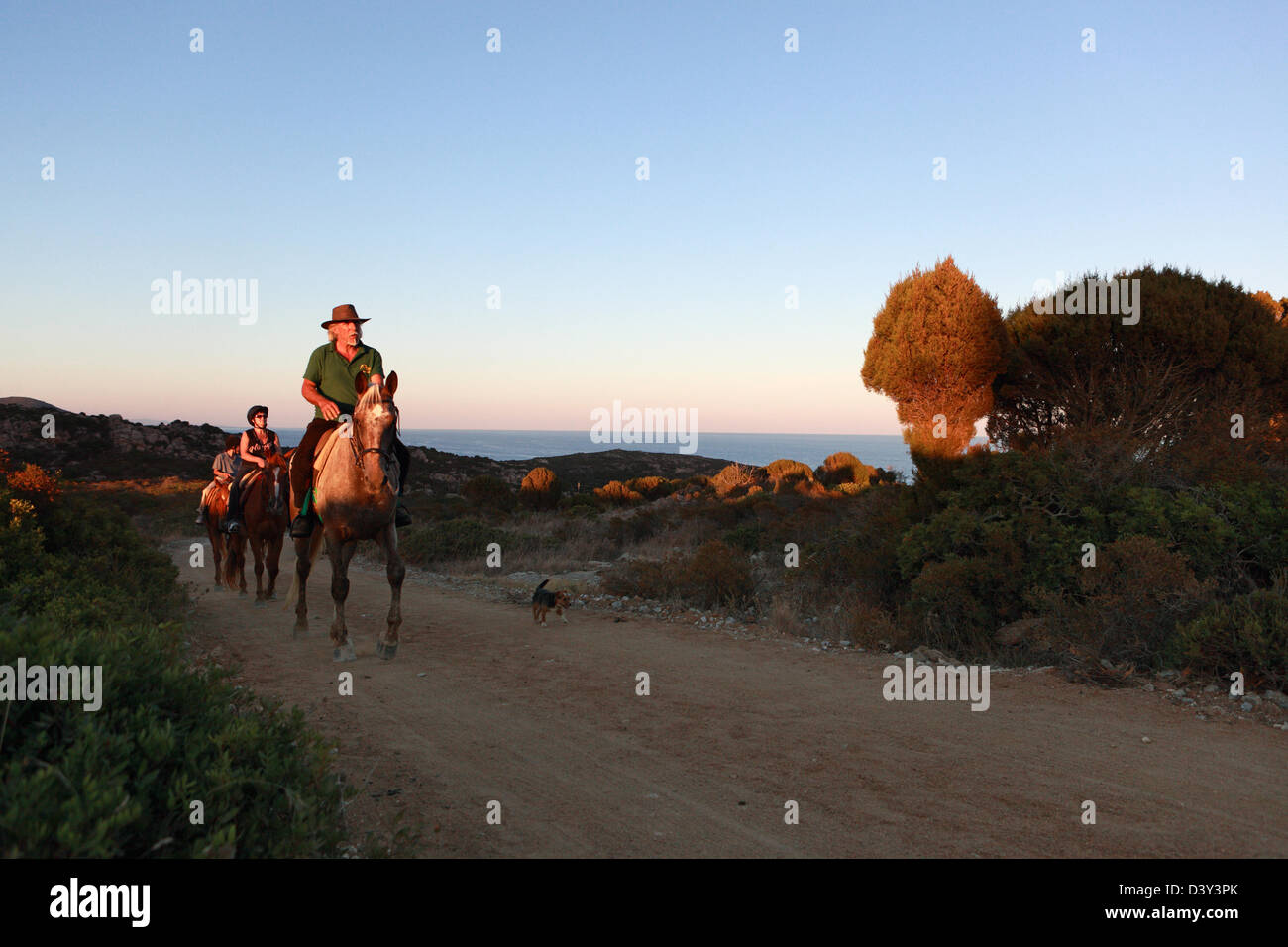Santa Margherita di Pula, Italia, cavalcando un giro di sera Foto Stock