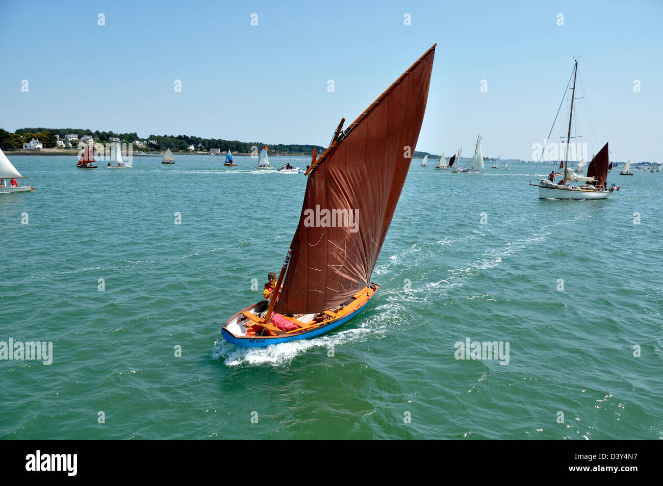 Vela e imbarcazione a remi, durante l'evento "emaine du Golfe" "Settimana del golfo di Morbihan). Foto Stock